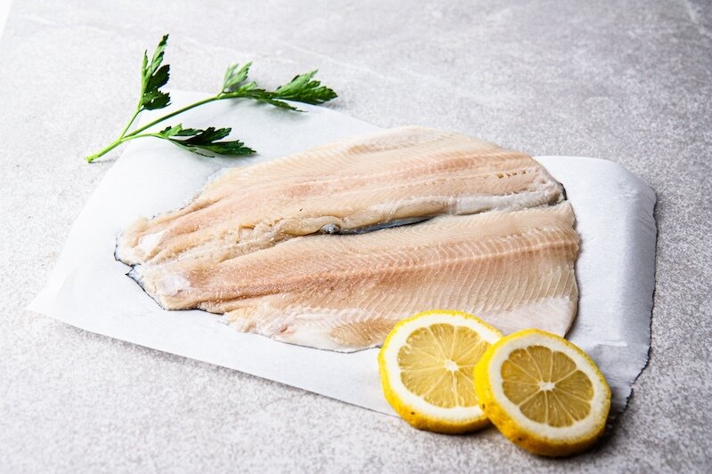NC Rainbow Trout