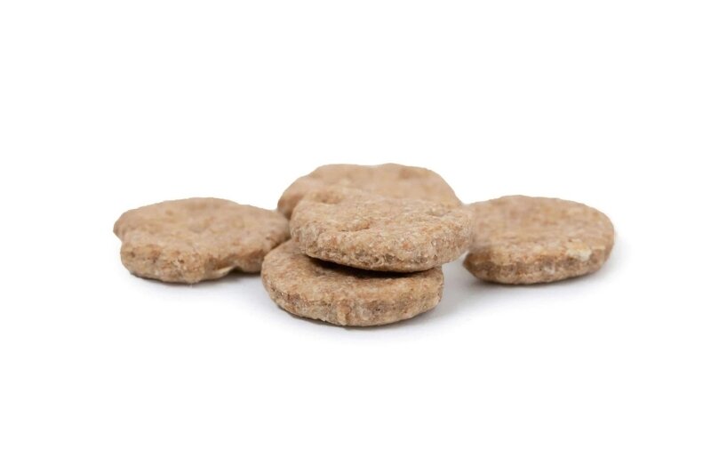 Crunchy Peanut Butter Dog Biscuits 3