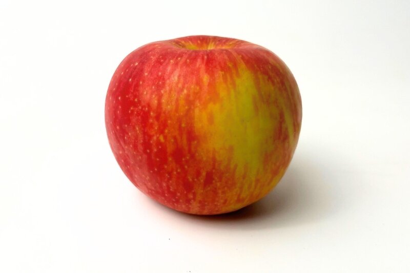 Fuji Apple