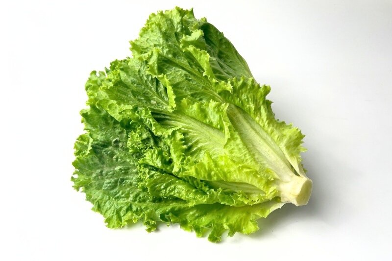 Green Leaf Lettuce