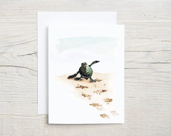 Baby Turtle Card
