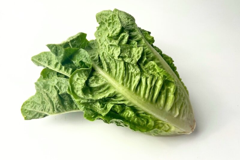 Romaine Lettuce
