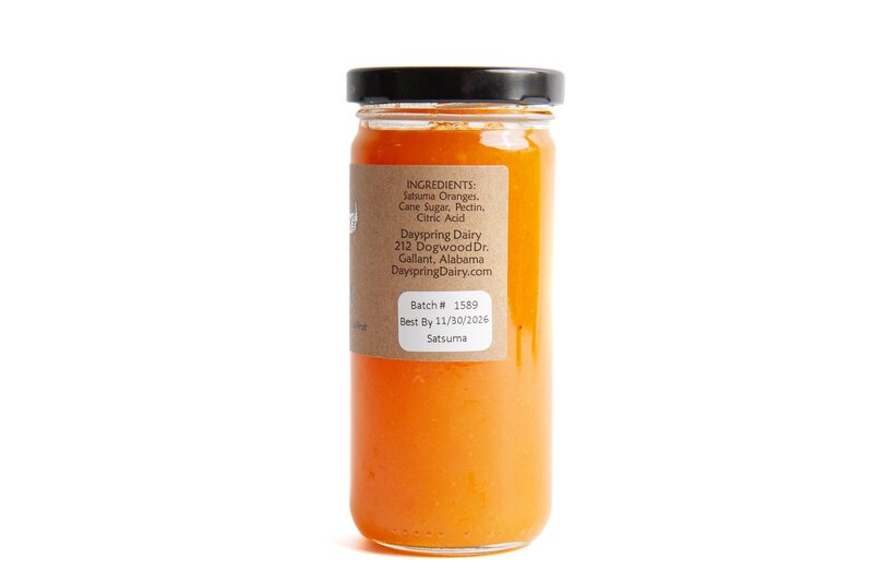 Satsuma Jam 2