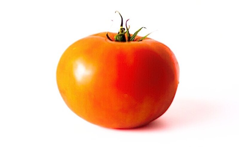Slicer Tomatoes