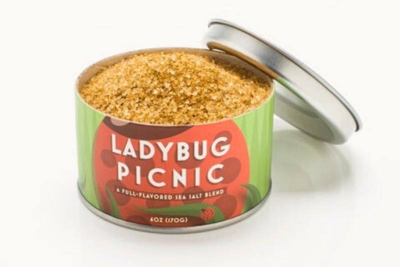 Ladybug Picnic Salt