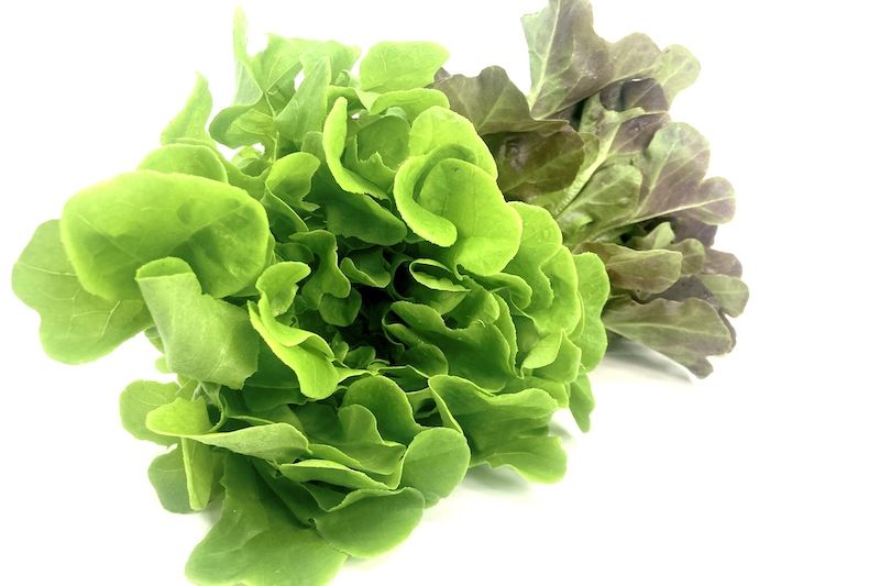 Salad Mix
