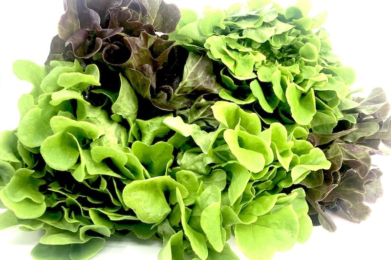 Salad Mix