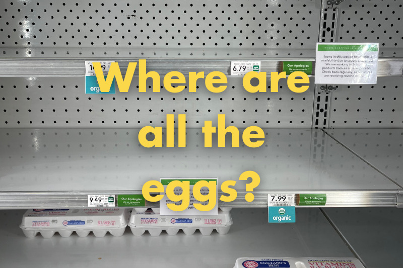 Where are all the eggs?