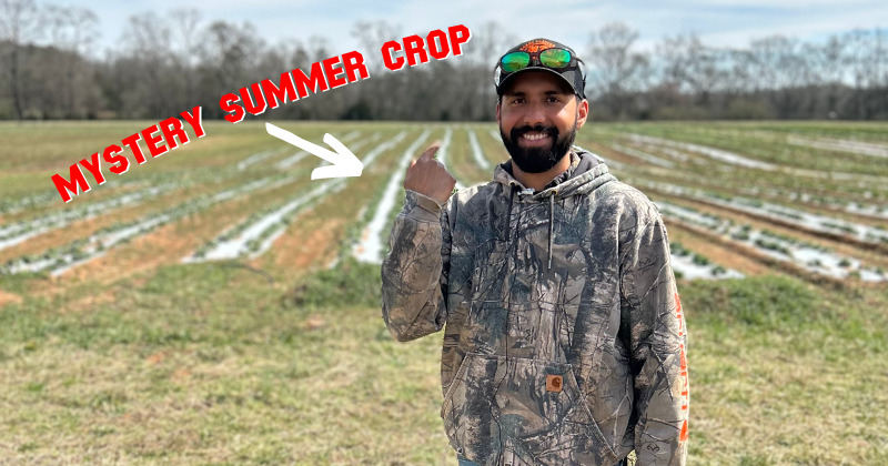 Farmer Rahuls Sweet Summer Surprise