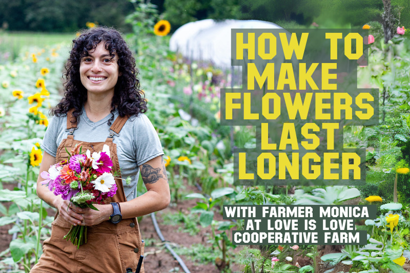 How To Make Your Flowers Last Longer