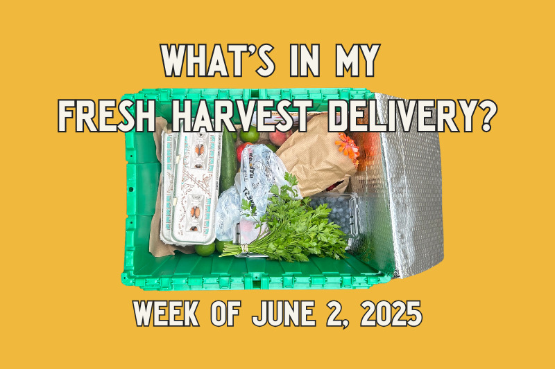 Whats in My Fresh Harvest Delivery? 