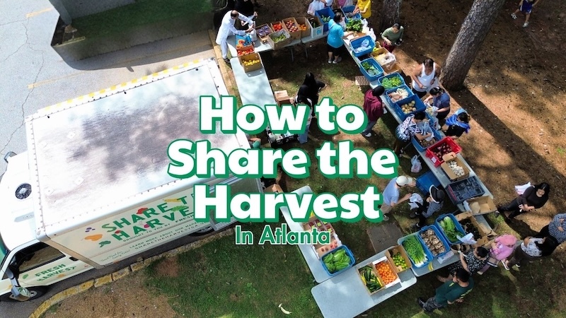 How to Share the Harvest 