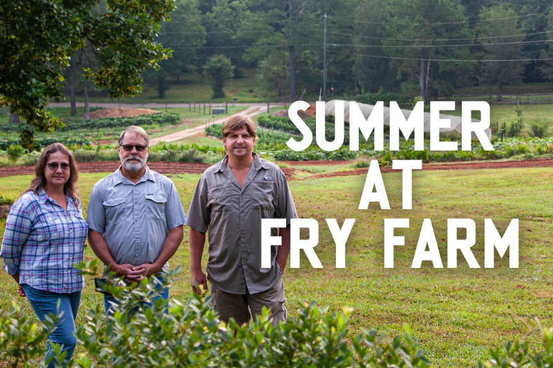 Summer At Fry Farm
